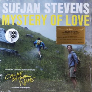 Sufjan Stevens: Mystery Of Love