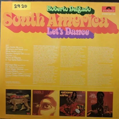 Roberto Delgado: South Amerika Let`S Dance – Bild 2